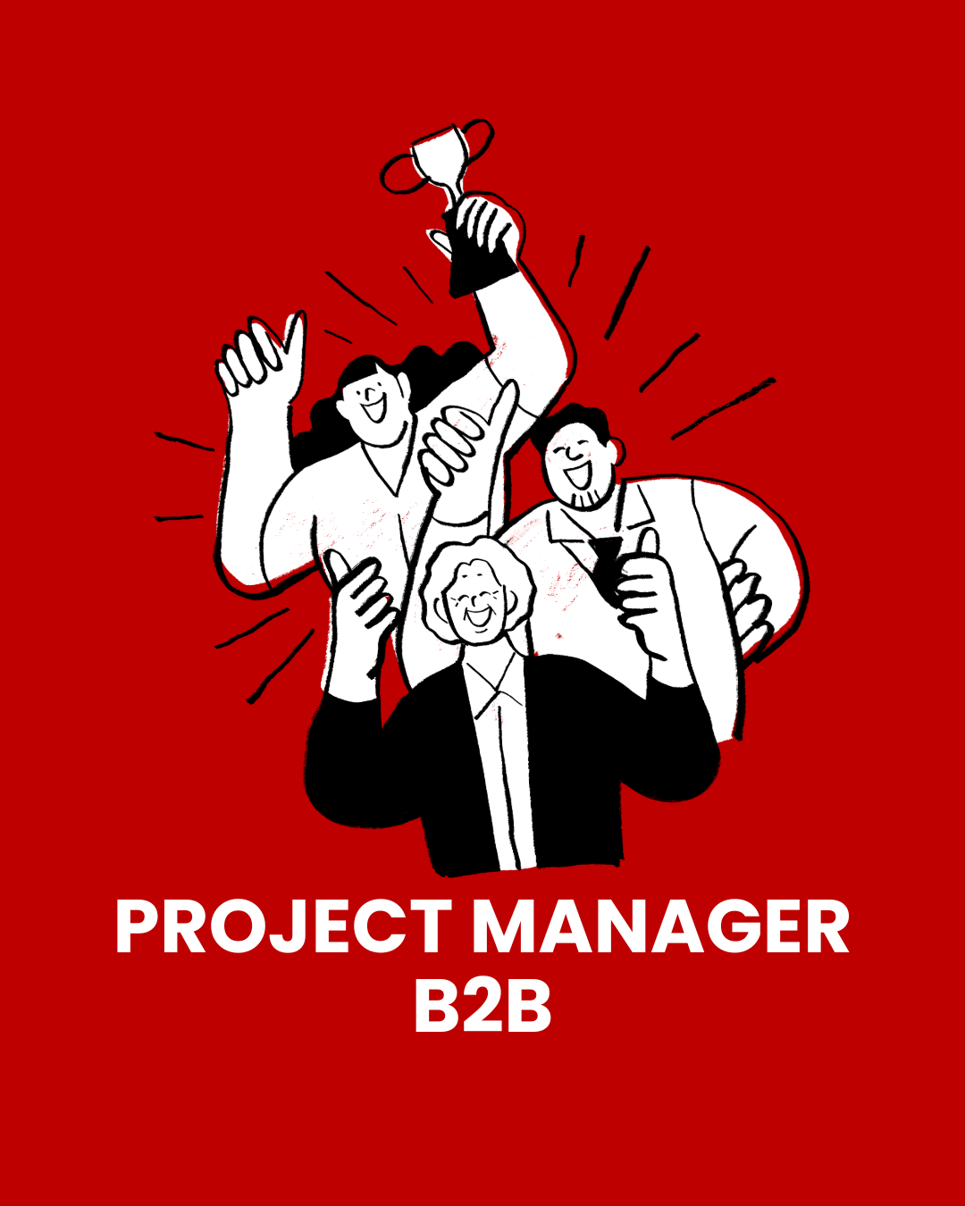 Project manager B2B